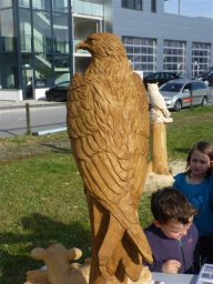 tj13-14 pferde titel oeschs 126